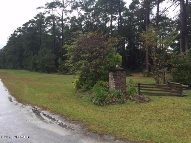 101 Queen Annes Lane - Photo 1