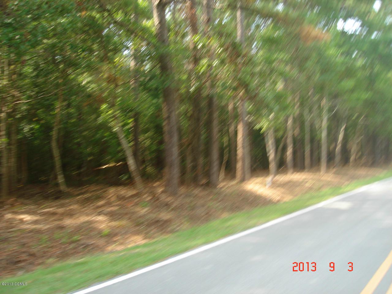 521 Peletier Loop Road - Photo 1
