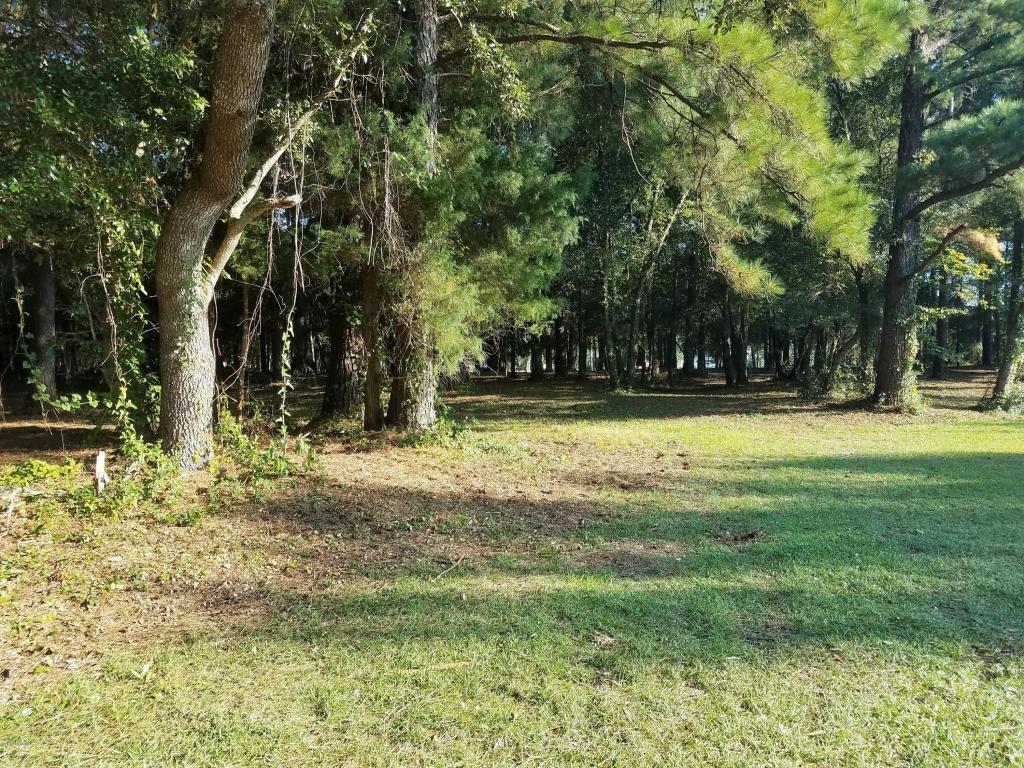 209 Club Point Drive - Photo 1