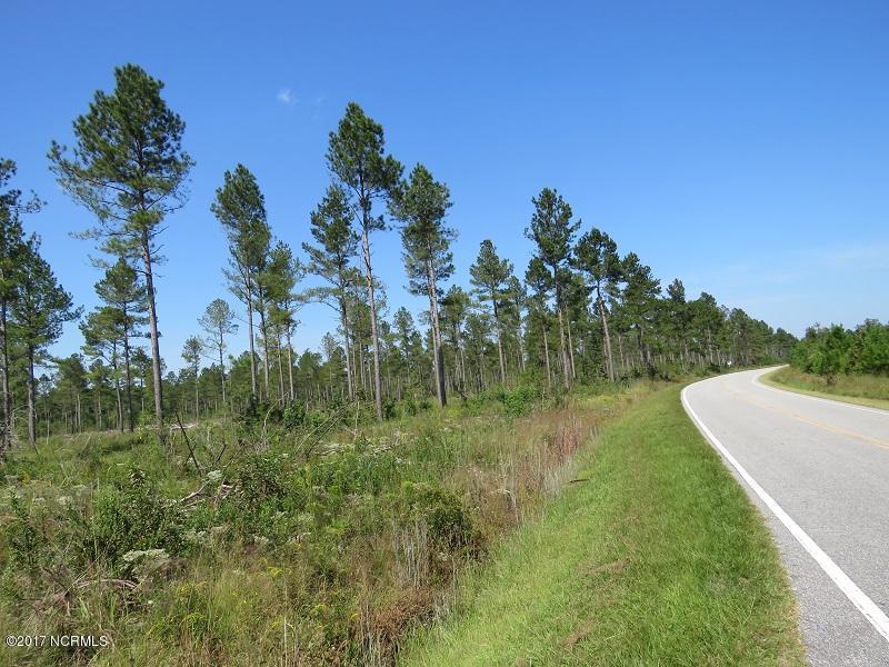 559 Ben Jones Road - Photo 1