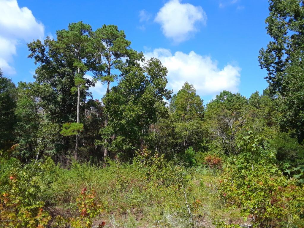 3720 Marsh Hen Drive - Photo 1