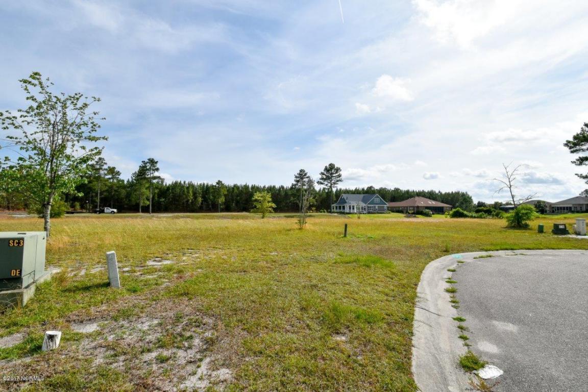 1005 Layne Court - Photo 1