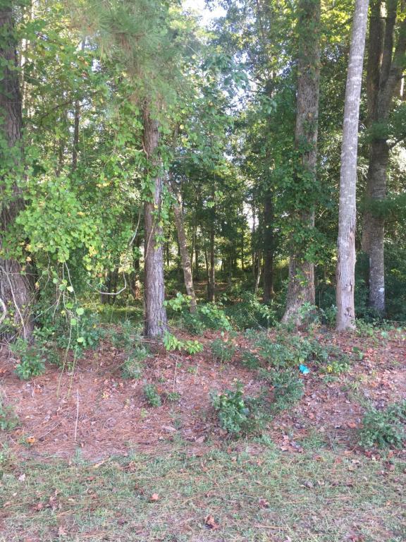 222 Timber Cove Drive - Photo 1
