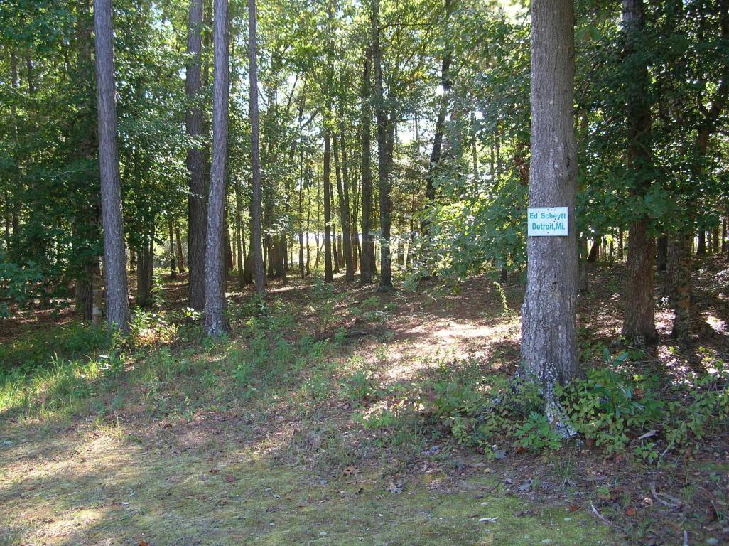 56 Overlook Court - Photo 1