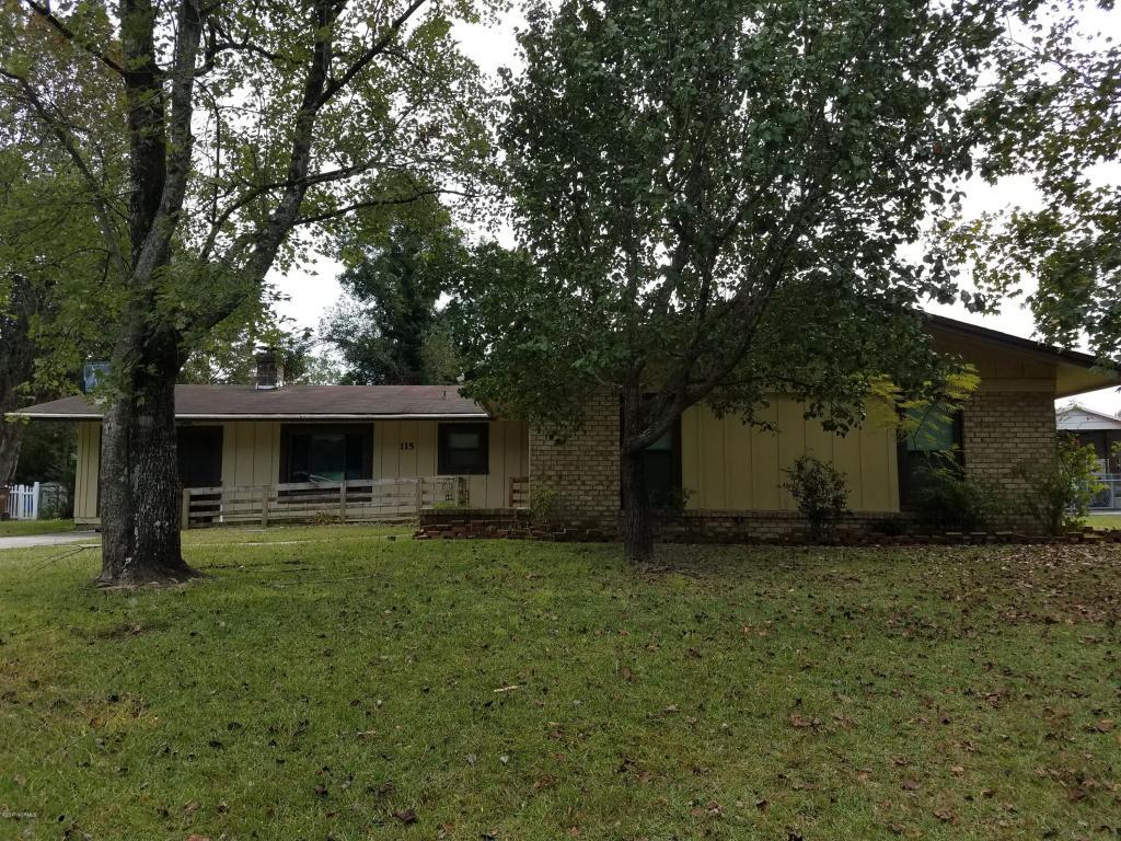 115 Tanglewood Drive - Photo 1