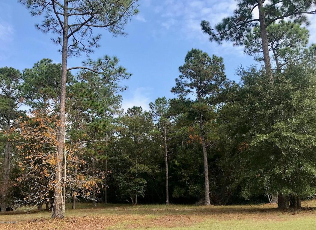 589 Riverwood Drive - Photo 1