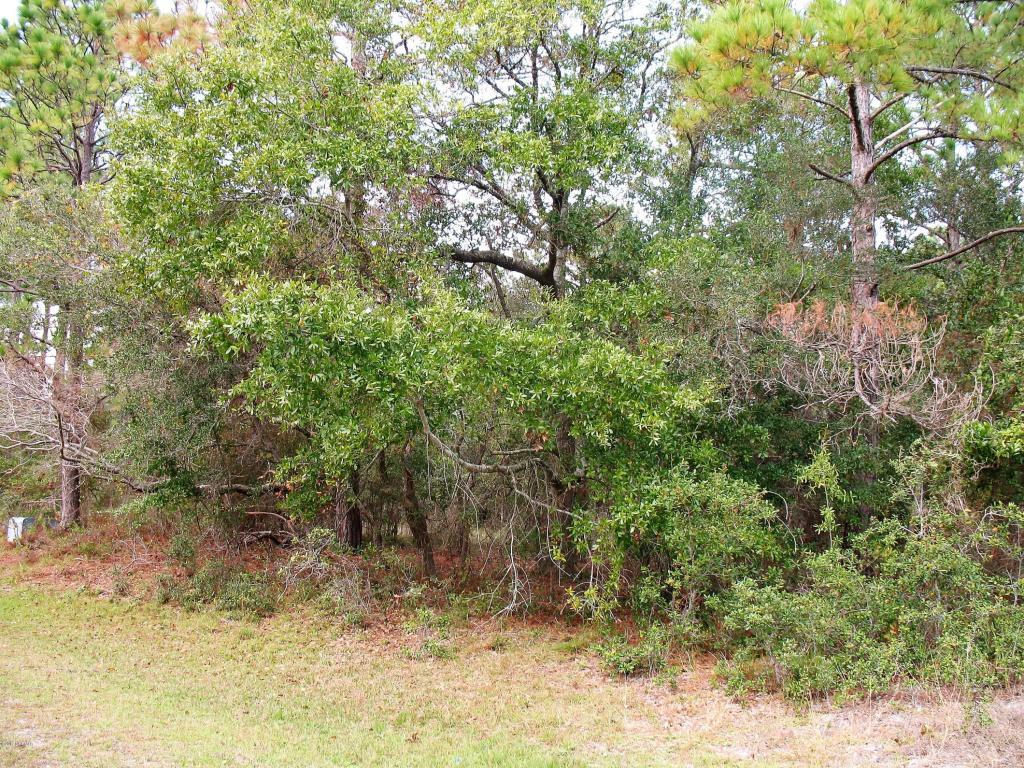 3392 Glen Court - Photo 1