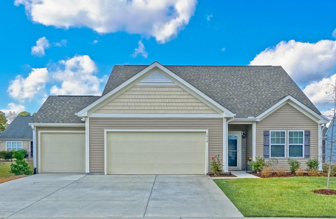 1016 Chickweed Court - Photo 1