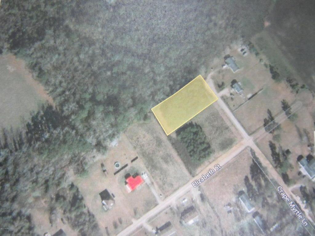 245 Crepe Myrtle Lane - Photo 1