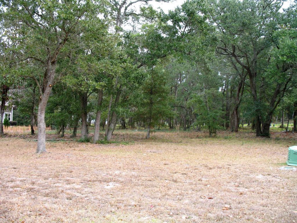 116 Arabella Way - Photo 1