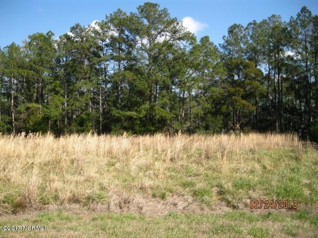 211 Ida Bell Lane - Photo 1
