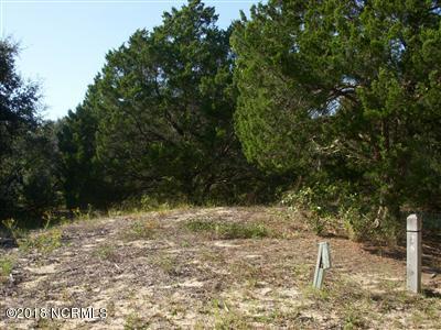 28 Horsemint Trail - Photo 1