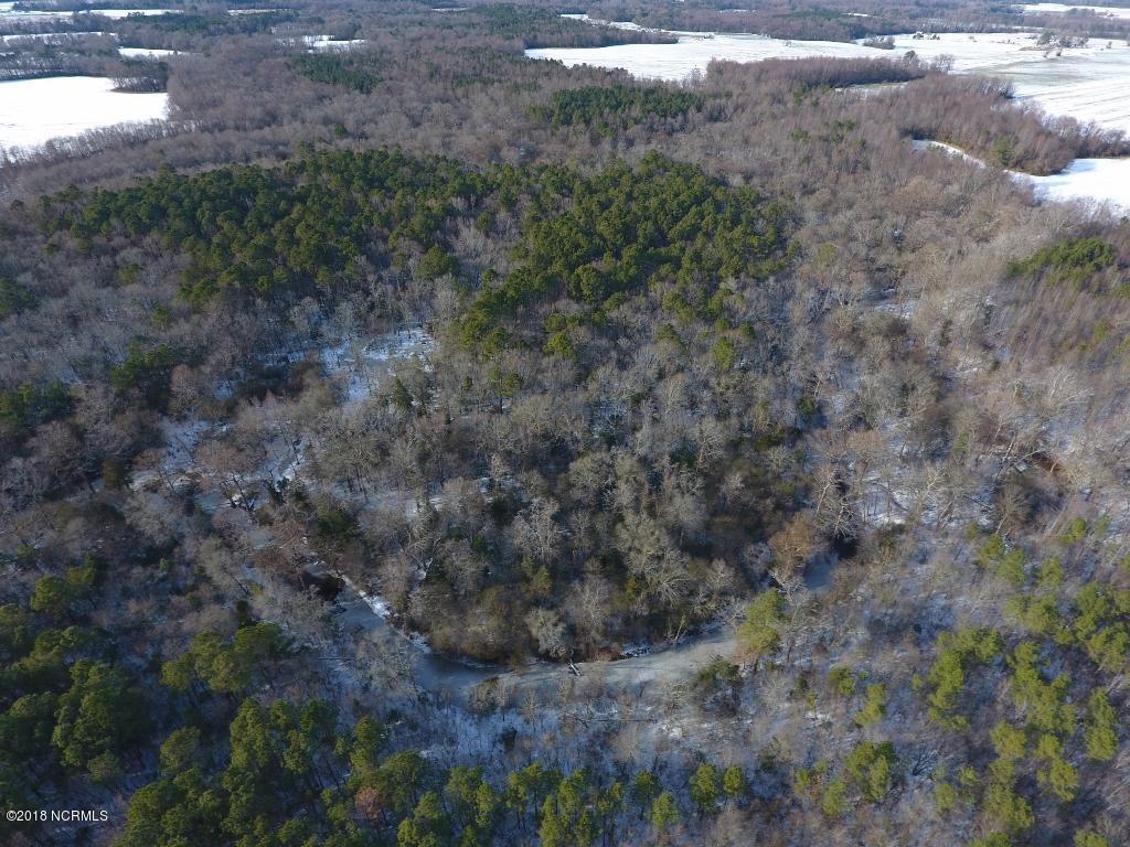 25.25 Ac Bynum Farm Road - Photo 1