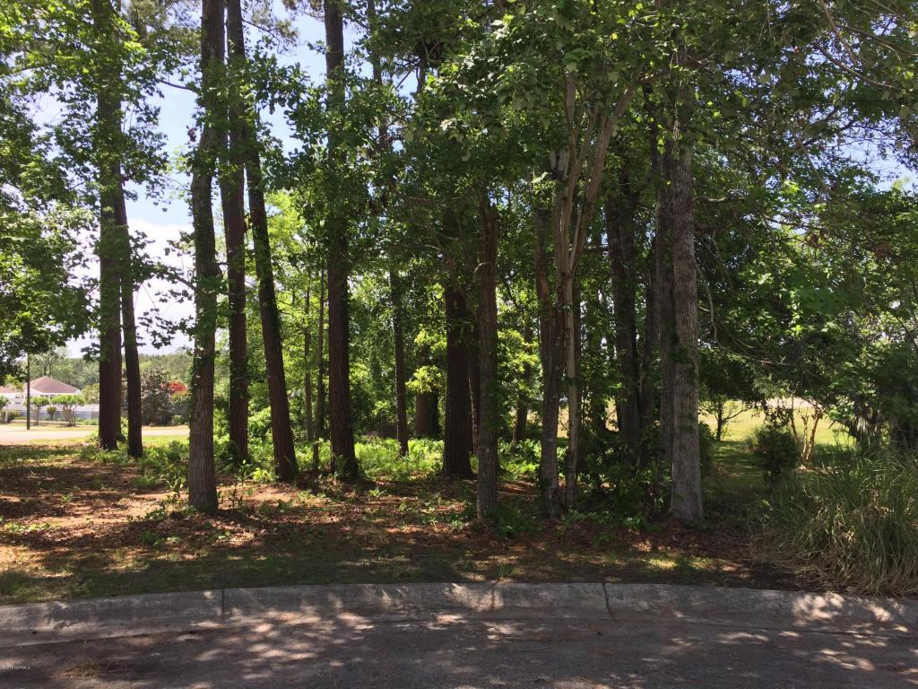 1677 Moorings Circle - Photo 1