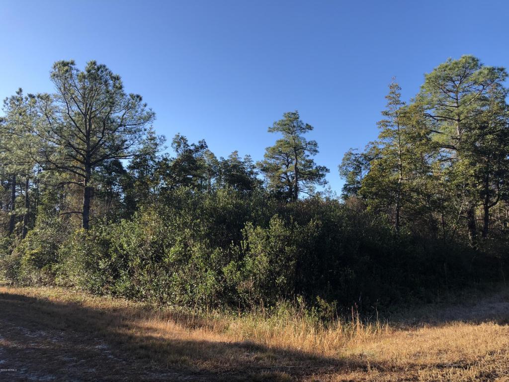 1100 Rockingham Road - Photo 1