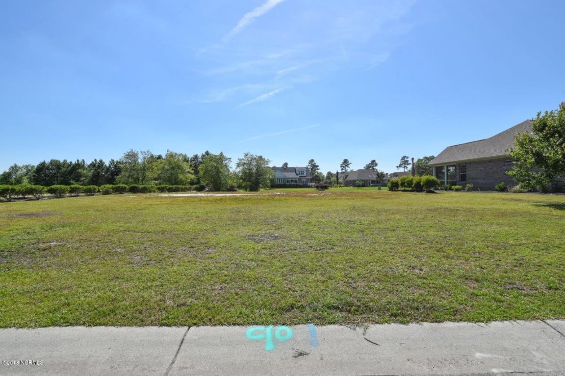 1026 Sunskipper Lane - Photo 1