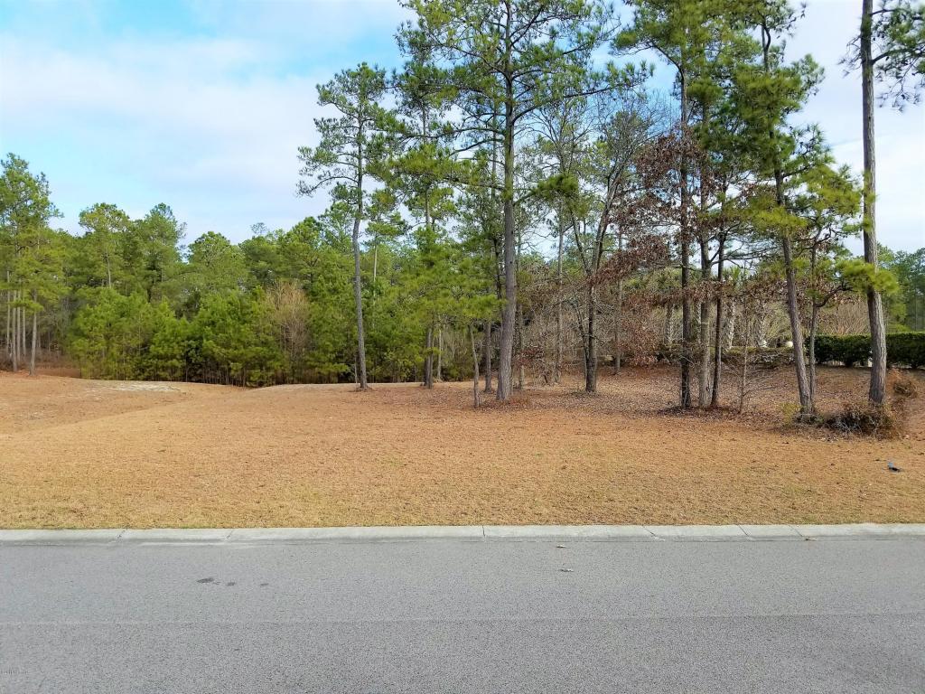 1426 Serrulata Drive - Photo 1