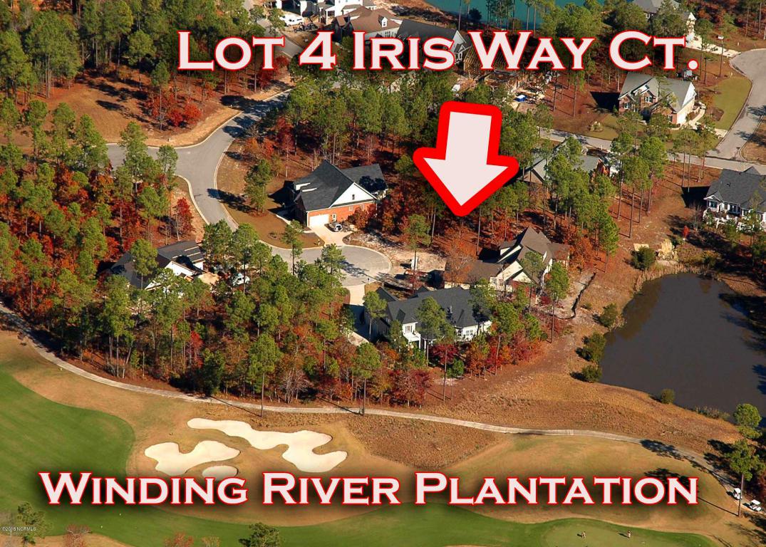 463 Iris Way - Photo 1