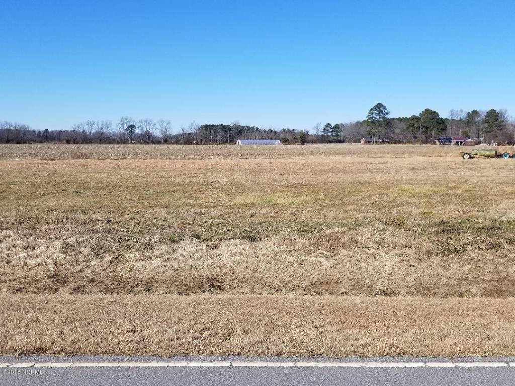 Lot 3 Iron Mine Spring Road - Photo 1