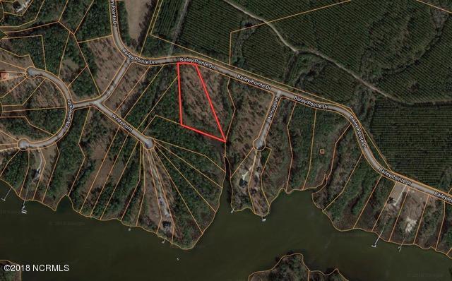 Lot 33 Bailey Pointe Drive - Photo 1