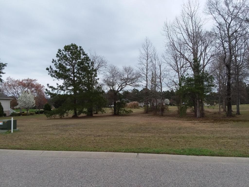1062 Edenton Drive - Photo 1