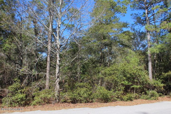 105 Beaver Trail - Photo 1