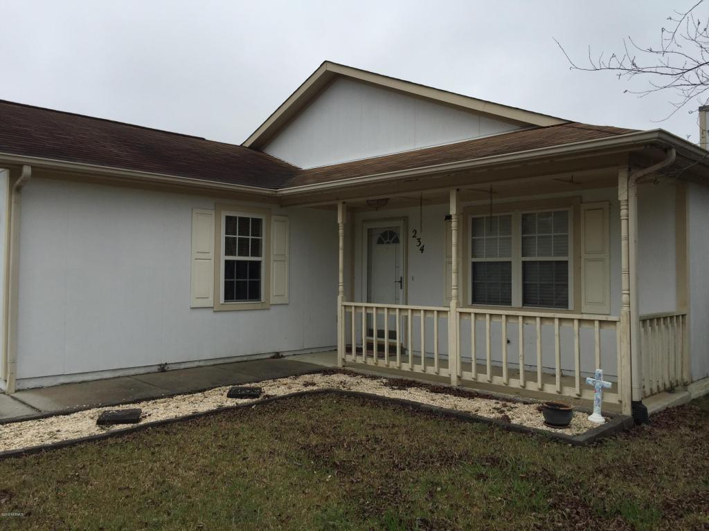234 Parnell Road - Photo 1