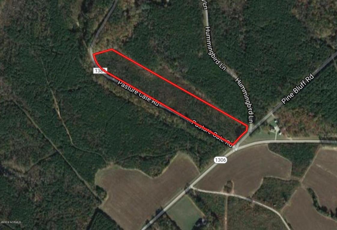 13.79 Off Pasture Gate Road - Photo 1