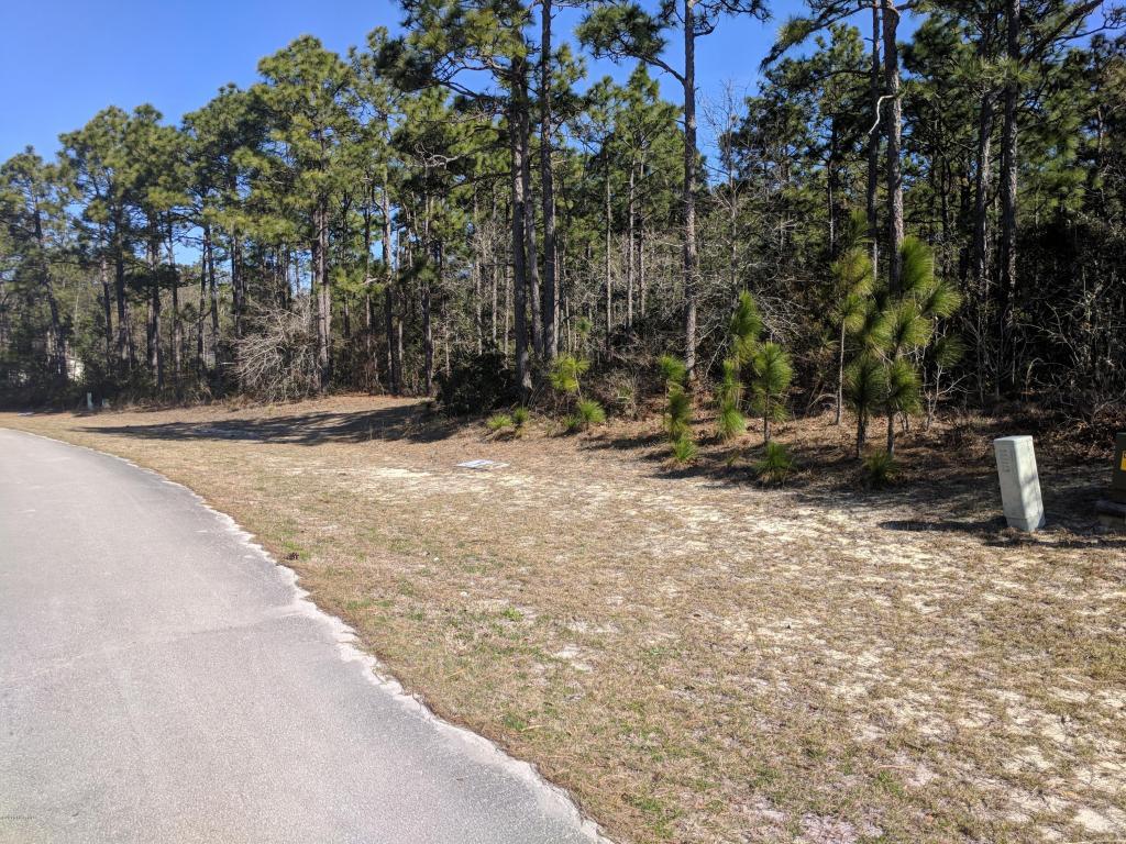 109 Creek Line Drive - Photo 1