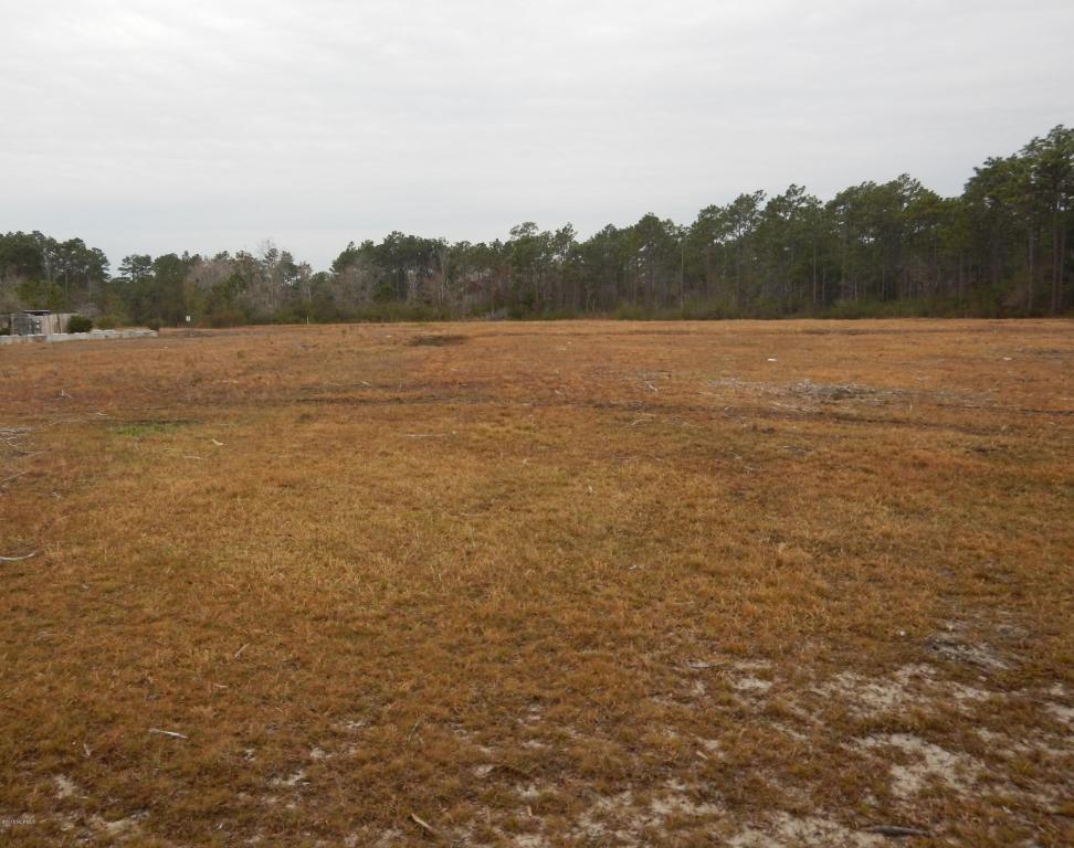 3172 George Ii Highway - Photo 1