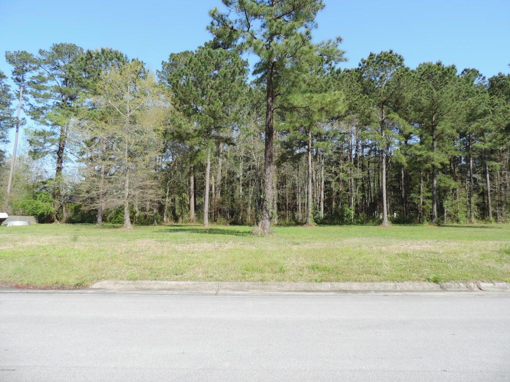 129 Grantham Place - Photo 1