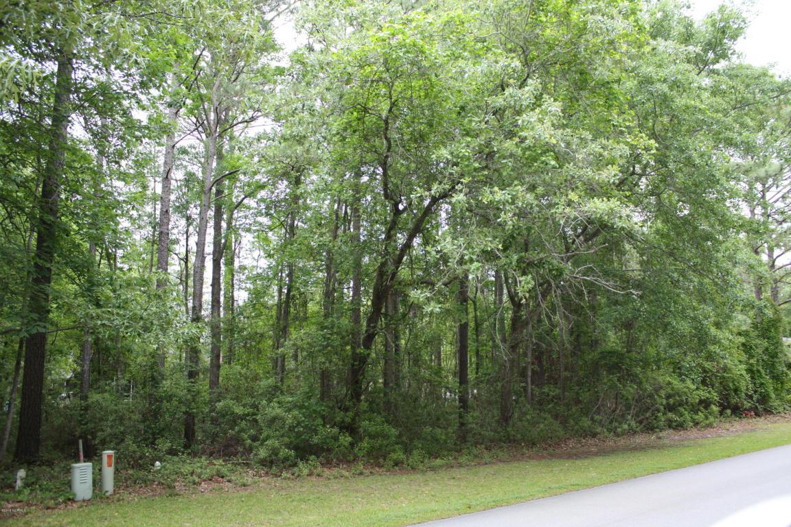 901 Davit Lane - Photo 1