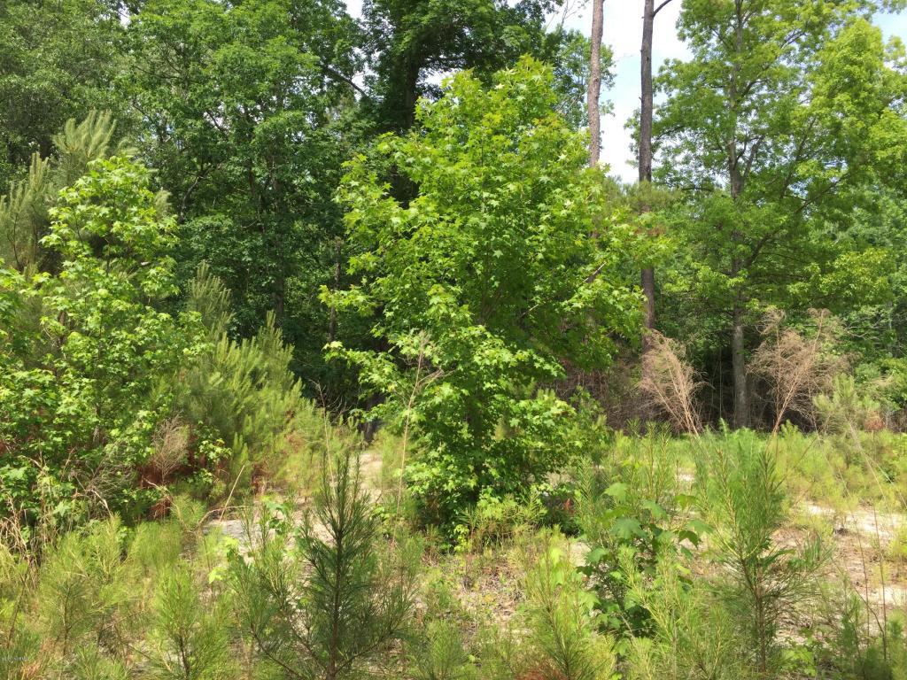 3710 Marsh Hen Drive - Photo 1