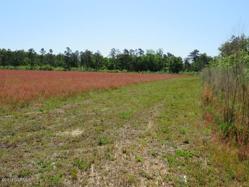 1681 Bud Stephens Road - Photo 1