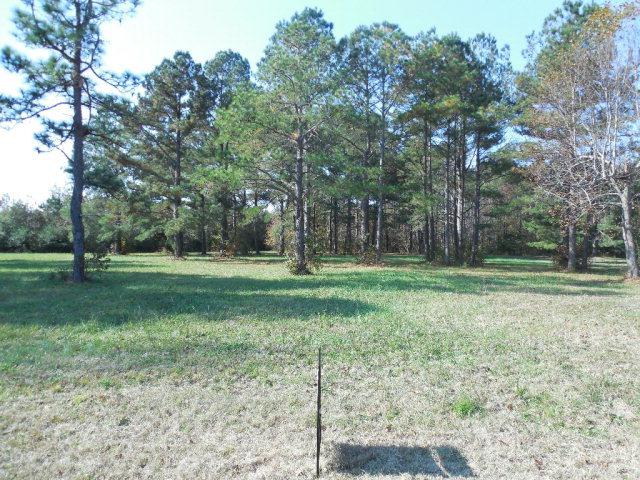000 Pleasant Hill Road - Photo 1