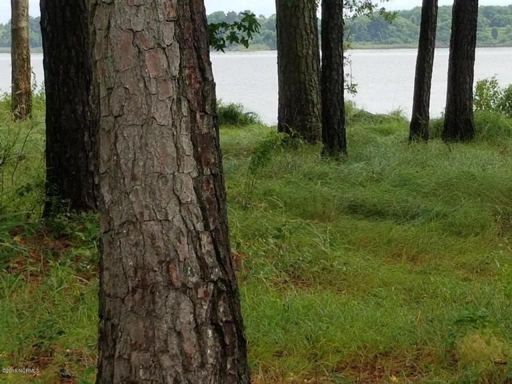 Lots 1,2,3 Isle Vue Drive - Photo 1