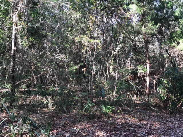 35 Dowitcher Trail - Photo 1