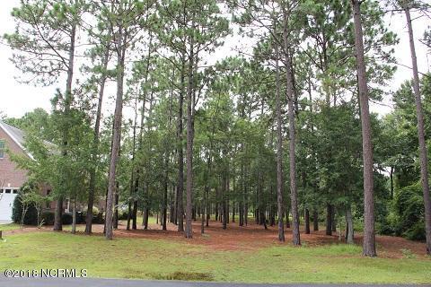 4018 Percha Place - Photo 1