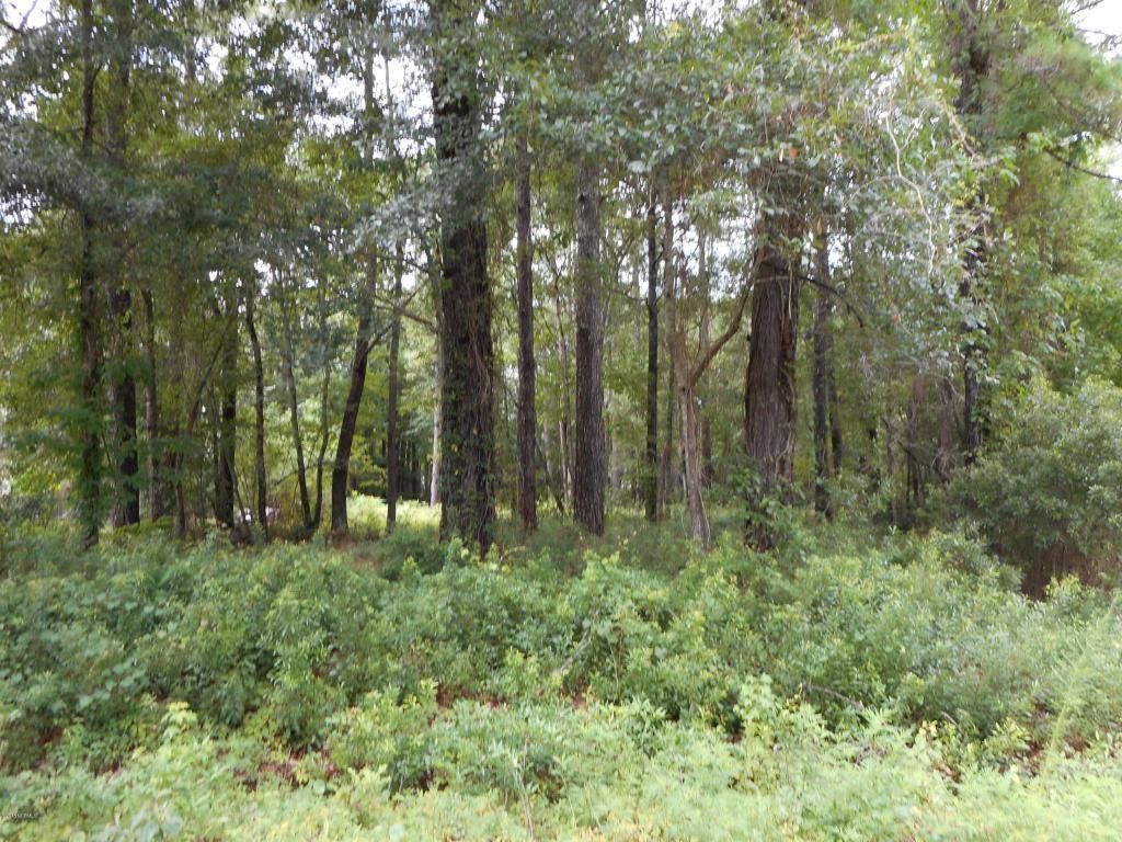 314 Meadows Lane - Photo 1