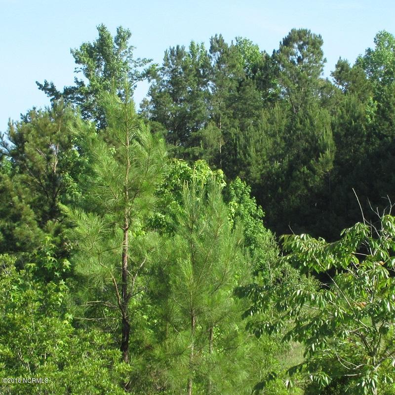 0 Camp Kirkwood Road - Photo 1