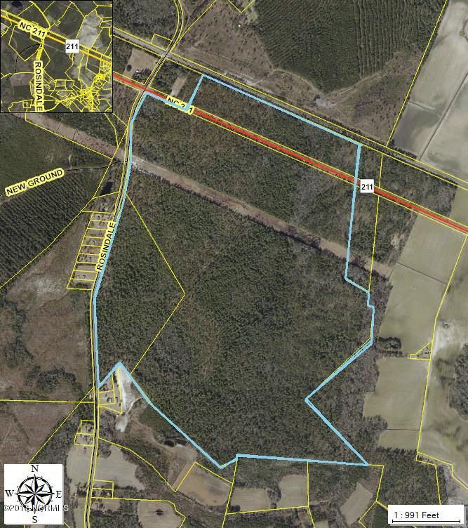 405 Acres Rosindale Road - Photo 1