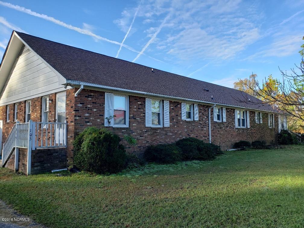 103 Top Tobacco Road - Photo 1
