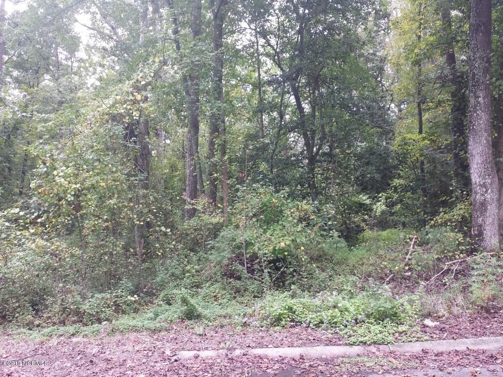 Lot 4 Robinwood Drive - Photo 1