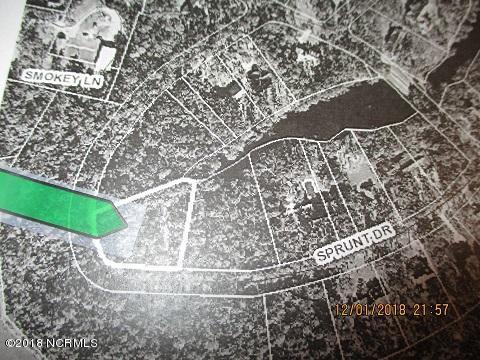 Tract 7-B Sprunt Drive - Photo 1