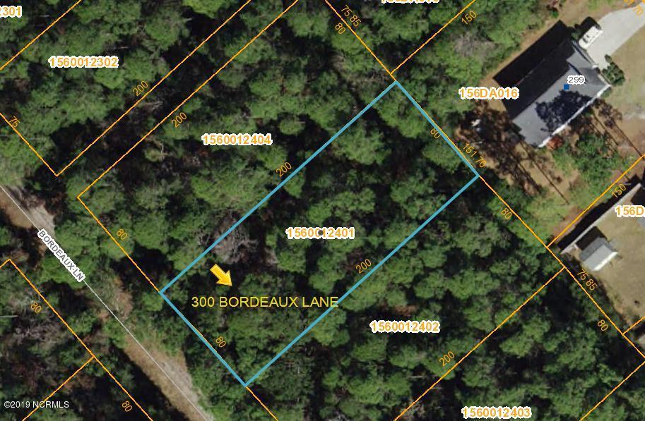 300 Bordeaux Lane - Photo 1