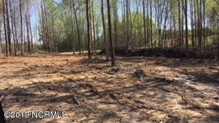 Lot 5 & 6 Hilliard Hux Rd - Photo 1