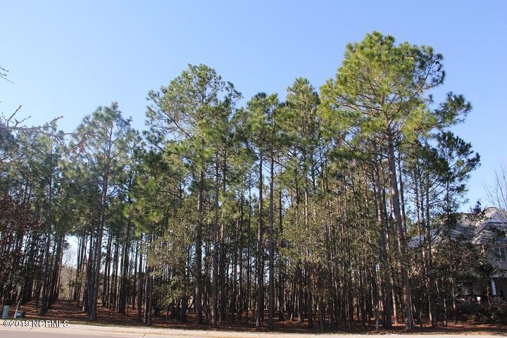 3797 Ridge Crest Drive - Photo 1