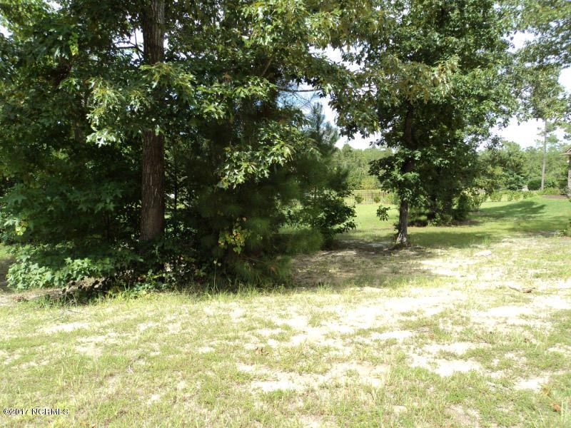 1134 Natal Drive - Photo 1