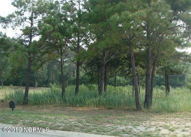 3810 Pompion Street - Photo 1