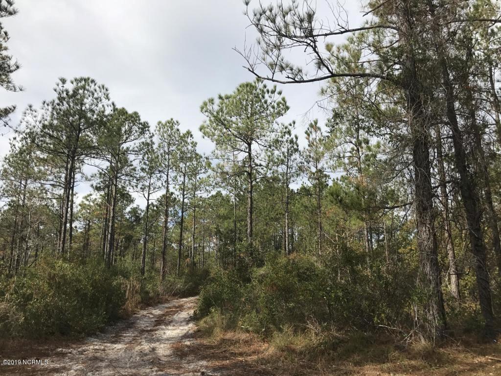 50.83 Acres Off Hwy 211 - Photo 1